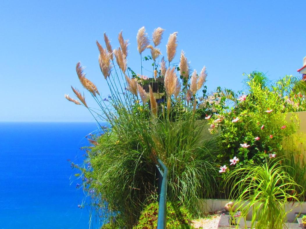 Casa Serena Apartments Arco da Calheta Kültér fotó